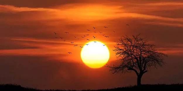 Alman meteorologlar açıkladı: Türkiye'ye 50 derece sıcaklar geliyor