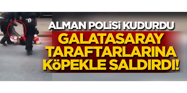 Alman polisi Galatasaraylı taraftarlara köpekler eşliğinde saldırdı
