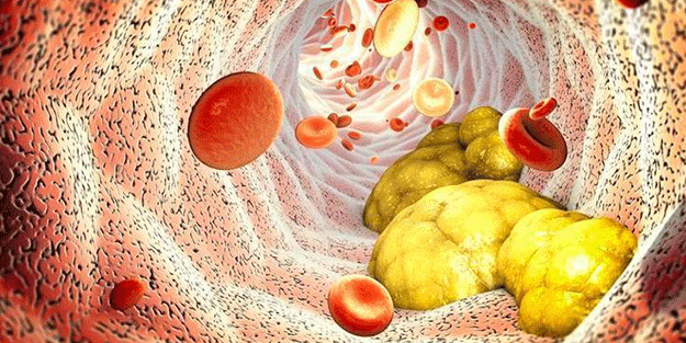 Almanlar bu tarifi yıllardır biliyor! Damarlarda biriken kolesterole yağ çözücü etkisi...