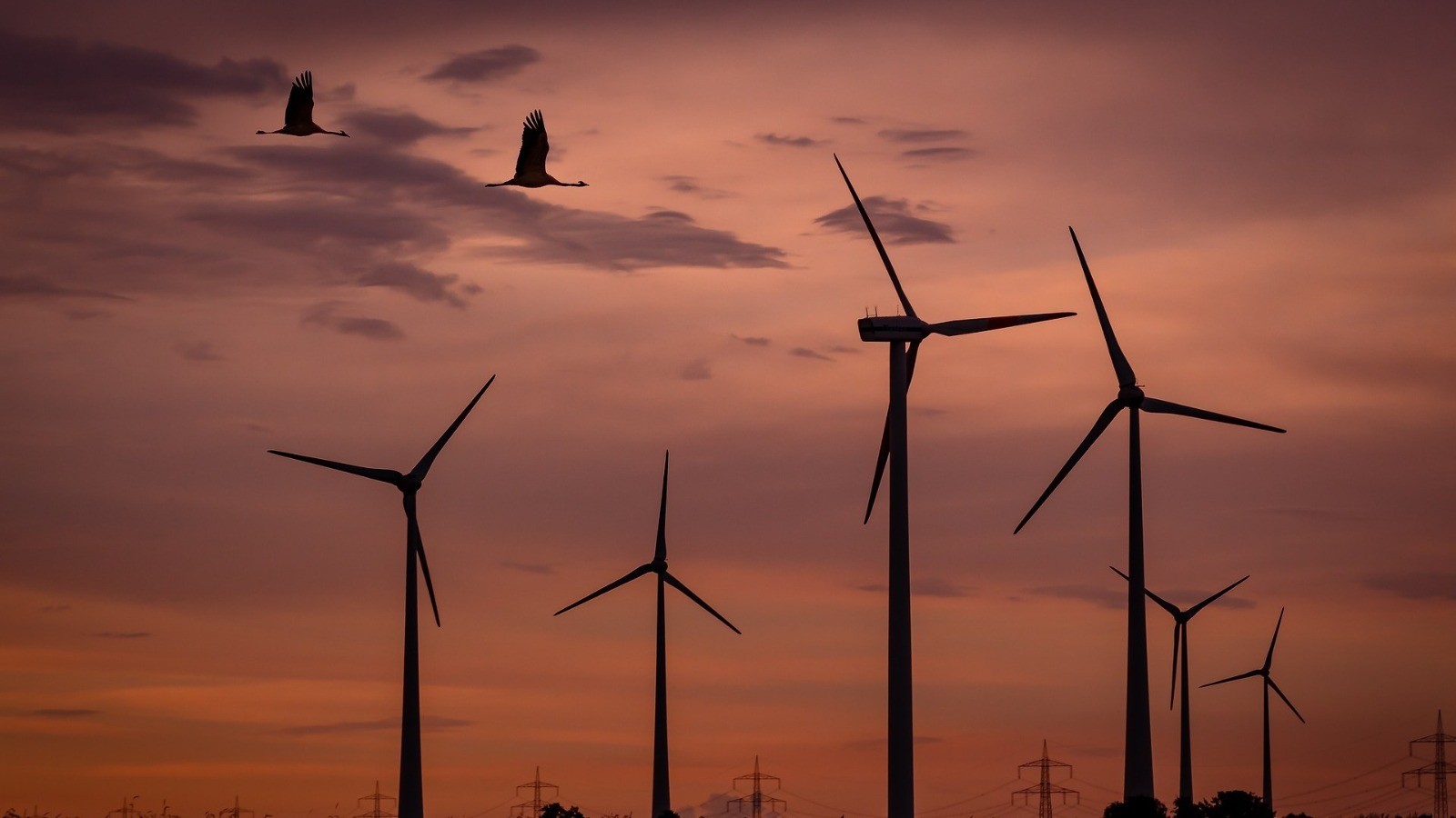 Almanlarla anlaşma sağlandı! Türkiye’de ilk kez kurulacak