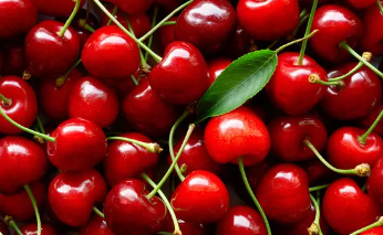 Almanya Türkiye'den çılgınlar gibi kiraz alıyordu! Üretici bile olan bitene inanamazken sebebi belli oldu