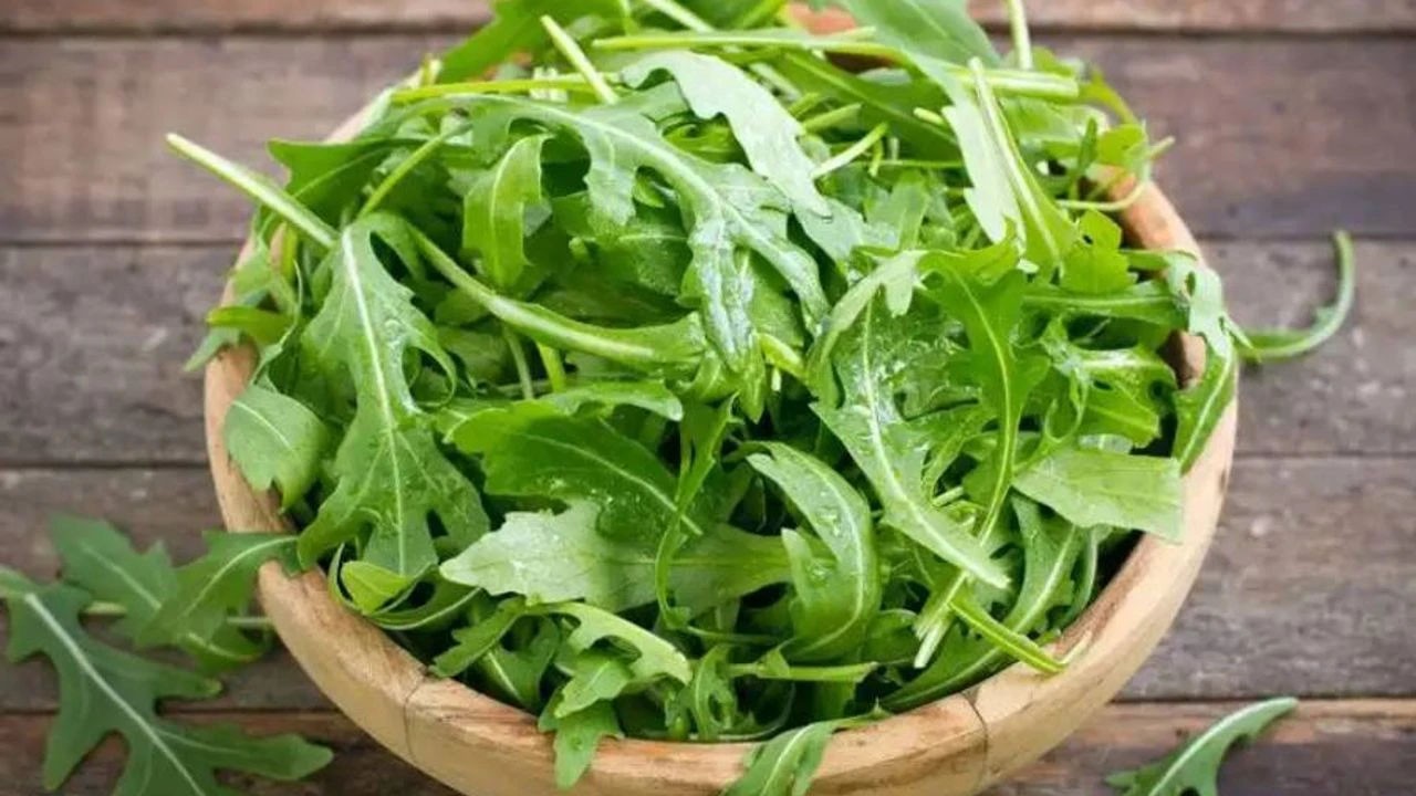 Almanya ve Avusturya’da roka kaynaklı Salmonella salgını uyarısı!