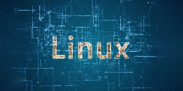 Almanya Windows’u siliyor! Linux kullanacaklar