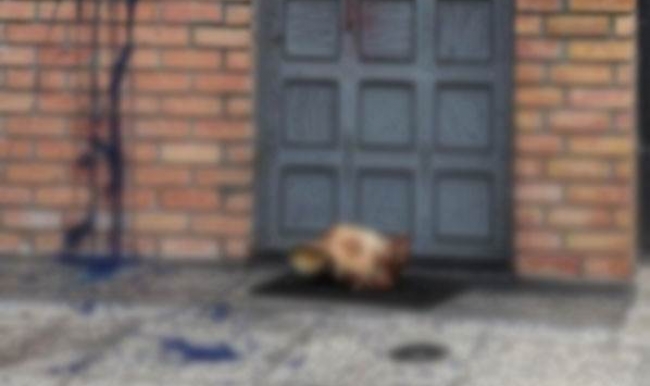 Almanya'da caminin önüne domuz kafası bırakıldı