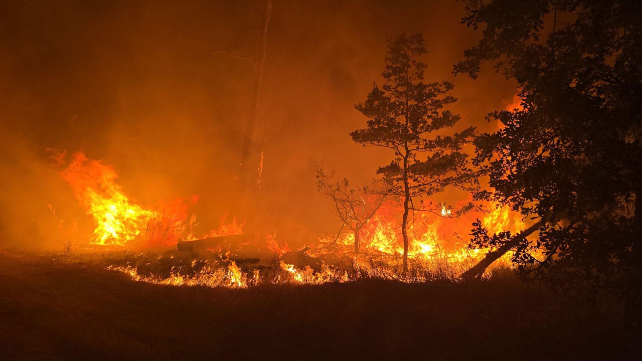 Almanya'da orman yangınları kontrolden çıktı