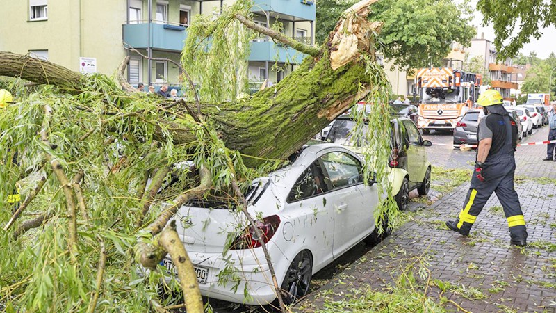 Almanya'da şiddetli fırtına: O bölgeden 900 kişi tahliye edildi