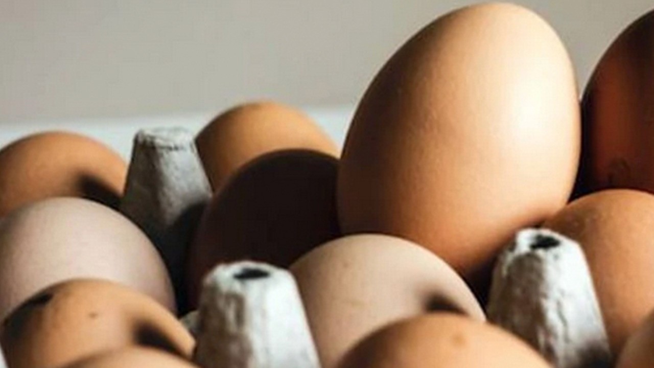 Almanya’da yumurta krizi kapıda! ABD’den Almanya’ya sıçradı: Kısıtlama gelebilir!