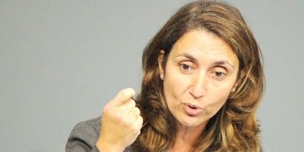 Almanya'daki Türk vekil: Türkiye'nin temsilcisi değilim