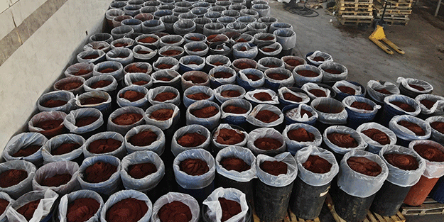 Almanya’dan ABD’ye kadar! 20 ülke deprem bölgesinden kapış kapış alıyor