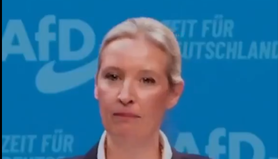 Almanya’dan flaş karar! 100 gün için bütün sığınmacılar sınır dışı edilecek