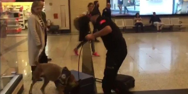 Almanya'dan gelen yolculara köpekli arama