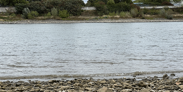 Almanya'dan yürek yakan haber!