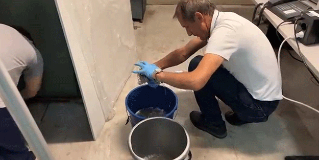 Almanya'nın Ankara Büyükelçiliği'nde ilginç anlar