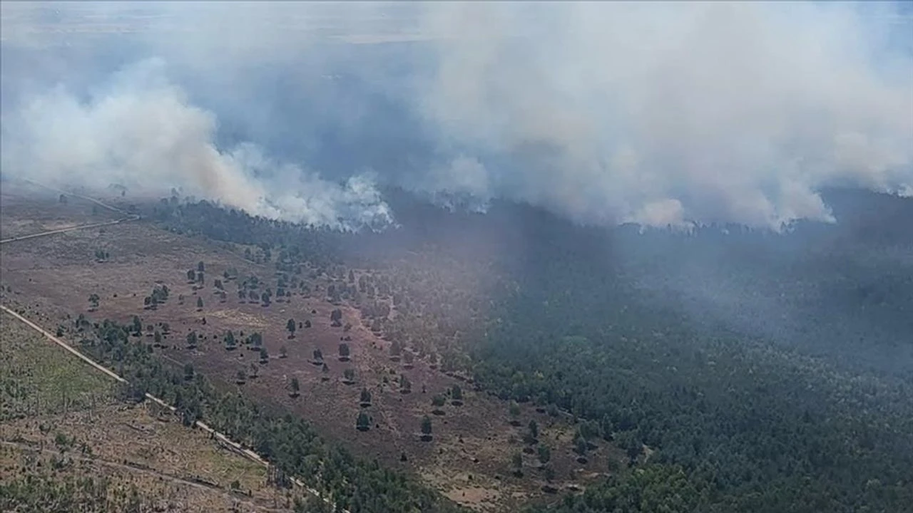 Almanya'nın üç eyaletinde orman yangını!