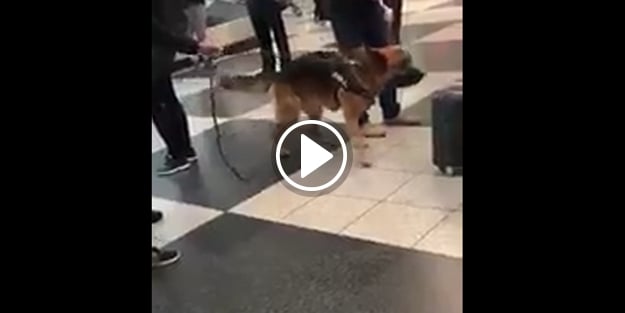 Almanya'ya inen Türklere skandal uygulama