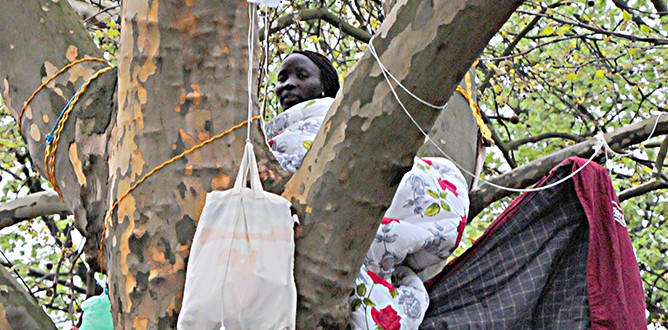 Almanya’yı ağaçta protesto