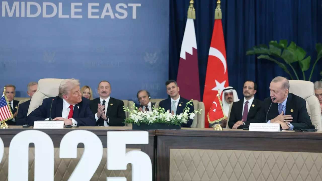 Almanya'yı yerin dibine sokan paylaşım! Dünyadaki yerimiz: Saksı bitkisinin arkasında