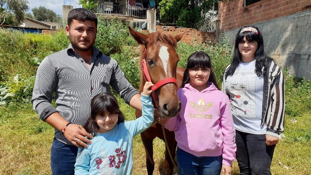 Alnında kuş figürü bulunan at ilgi odağı oldu 