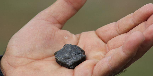 Alo Fetva'ya bunu da sordular!