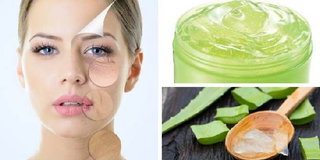 Aloe Vera’nın Faydaları