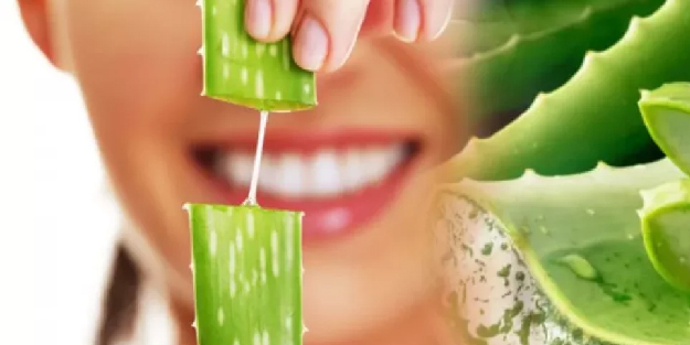 Aloe Vera’nın Faydaları