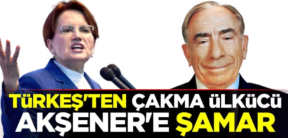 Türkeş'ten çakma ülkücü Akşener'e şamar