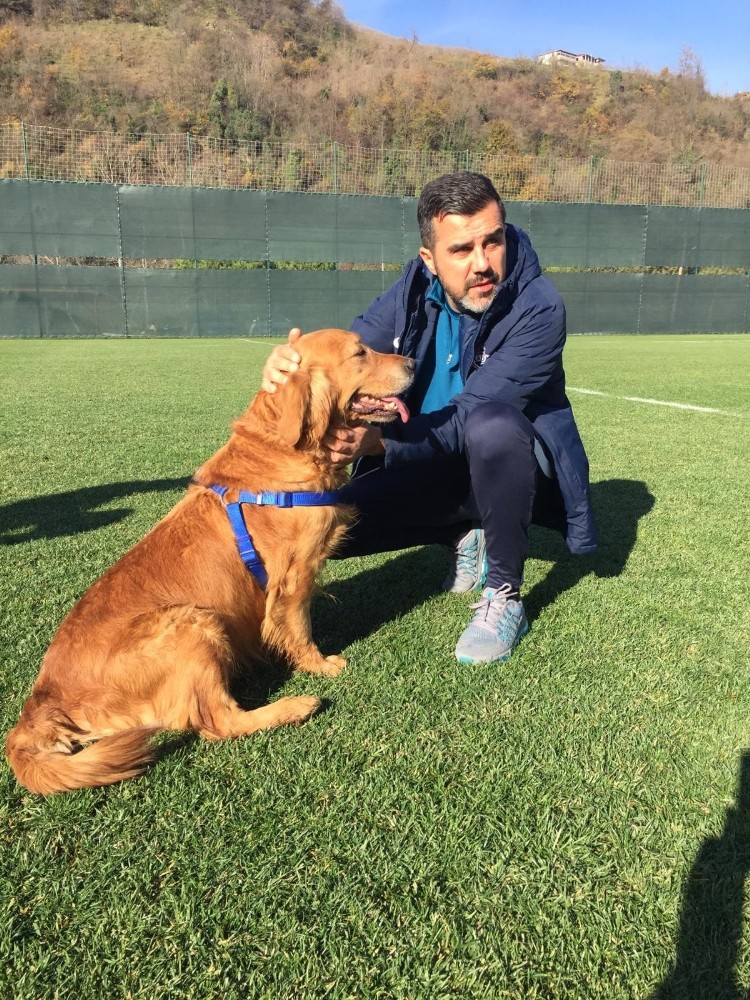 Alper Avcı: 