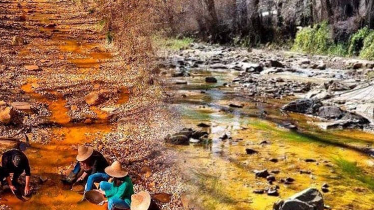 Altın akan nehir efsanesi gerçek çıktı: Bu nehirde balıktan daha çok altın var!