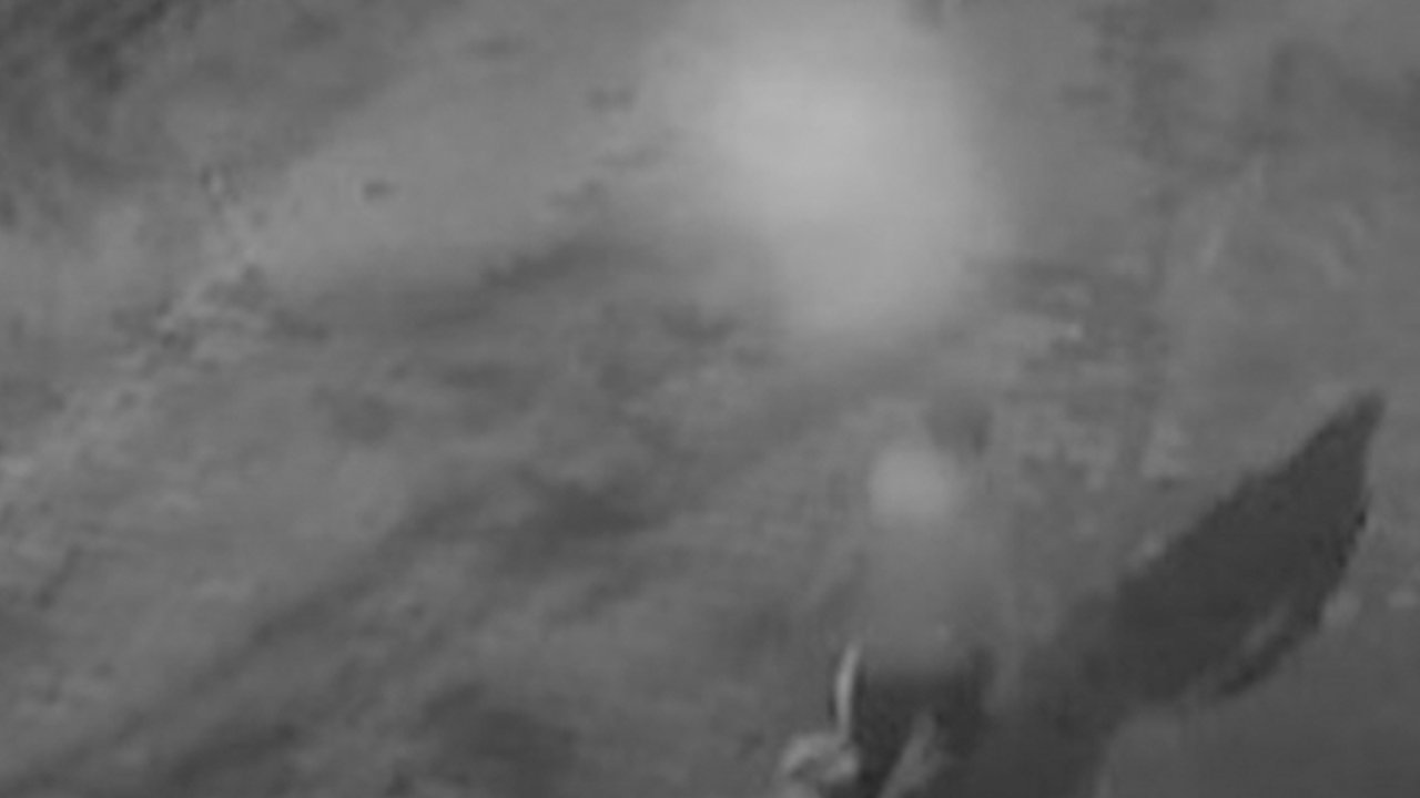 Altın dolu çantayla evine girerken gasp edildi!