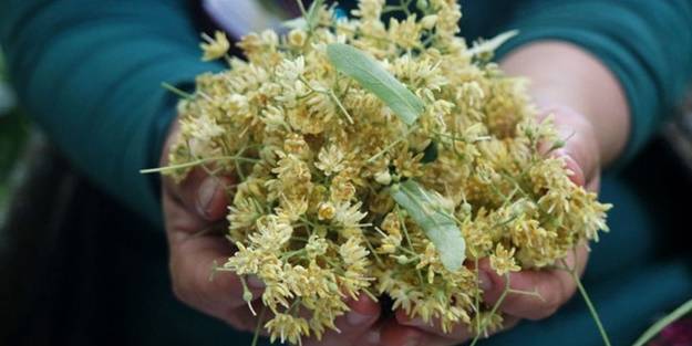 Altın fiyatlarını yakalayacak! Aşırı bir talep var, fiyatlar daha da yükselecek