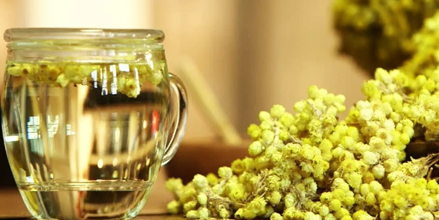 Altın otunun faydaları, altın otu kürleri: Sağlık için doğal bir çözüm, şifa deposu!