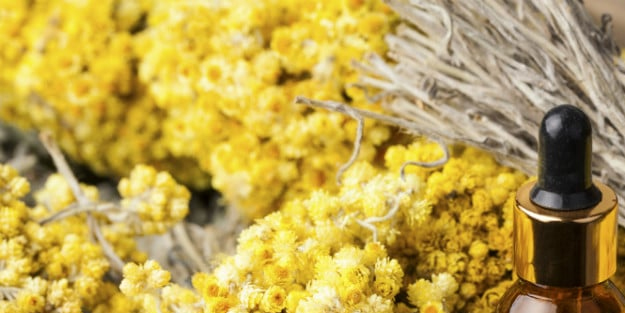 Altın otunun faydaları altın otu kürleri!