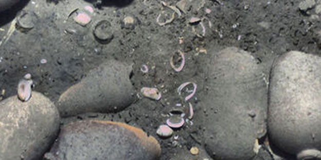 Altın ve mücevherler Karayipler'de batmıştı: Zengin miras için harekete geçti!