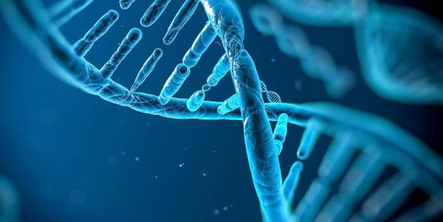 Altıncı hisle ilgili açıklama: O his, aslında mutasyonlu bir gen