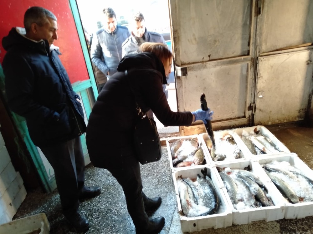 Altındağ’da balık depolarında denetim 