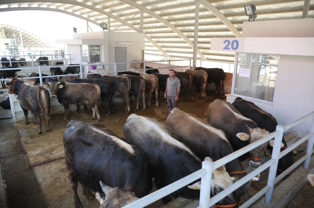 Altındağ’da kurban seferberliği 