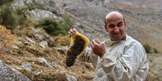 Altından çok daha kıymetli... Binbir zahmetle çıkarılıyor