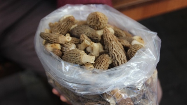 Altından daha değerli