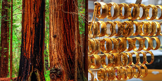 Altından daha değerli oldu! Herkes şaşkın