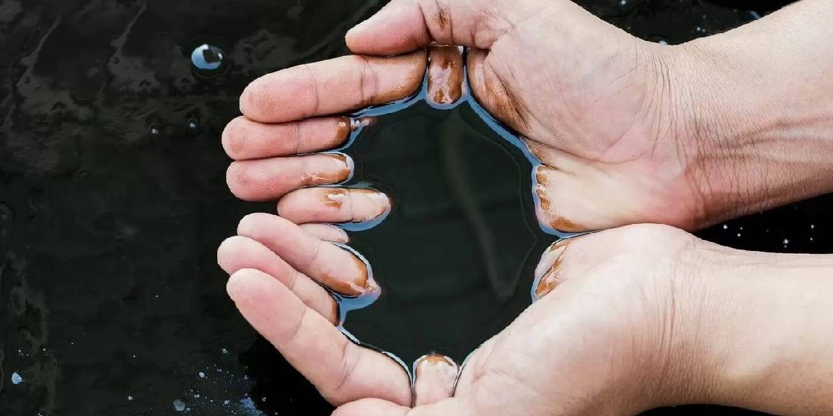 Altından iki kat daha pahalı! Ona yatırım yapan paraya para demeyecek! “2024 onun yılı olacak” diye duyurdular