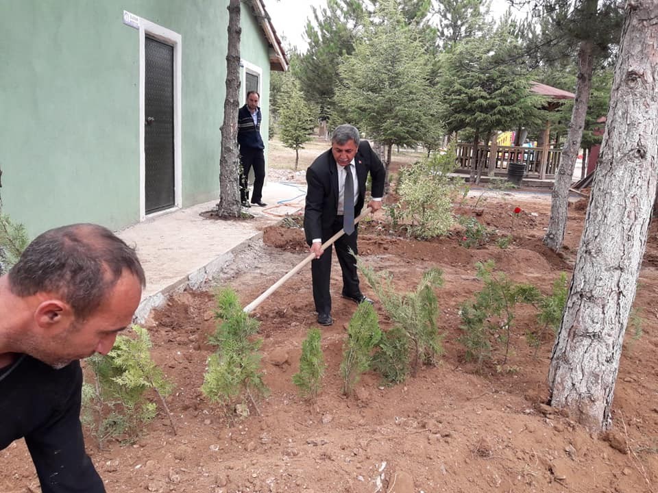Altıntaş mesire alanında ağaçlandırma çalışmaları 