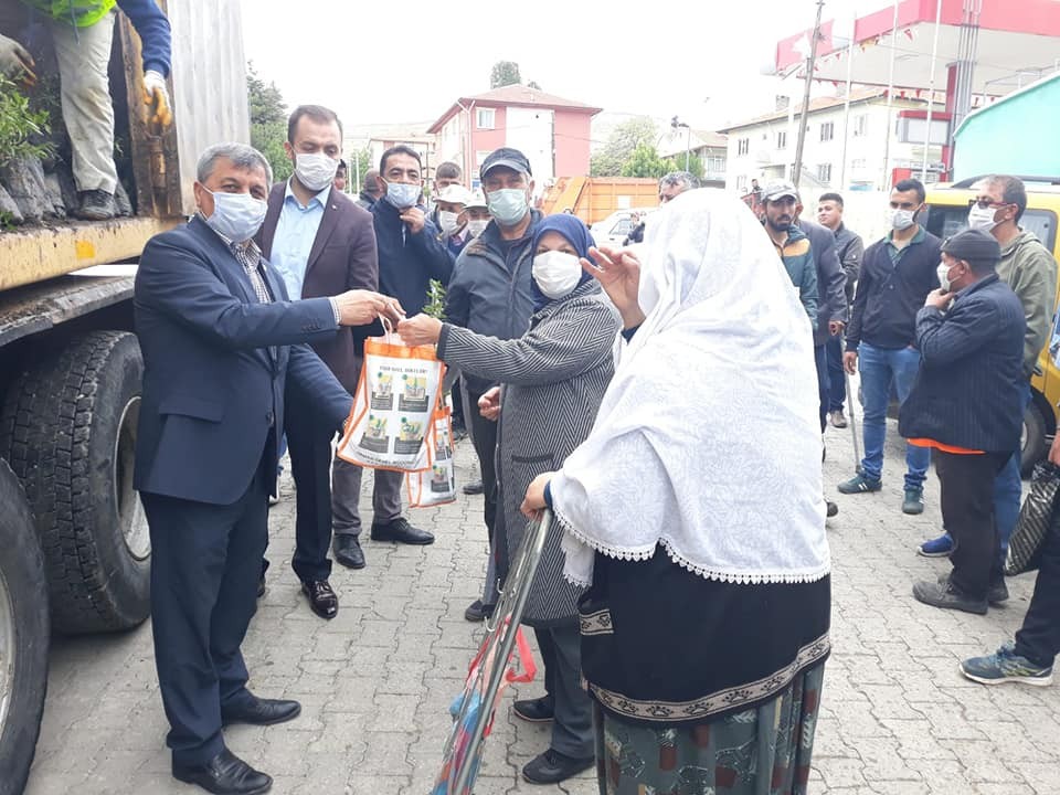 Altıntaş’ta fidan dağıtımı 