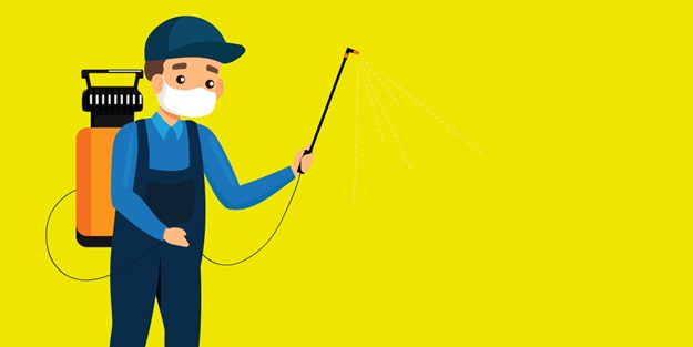 Altun İlaçlama ile haşelerelere kalıcı çözümler