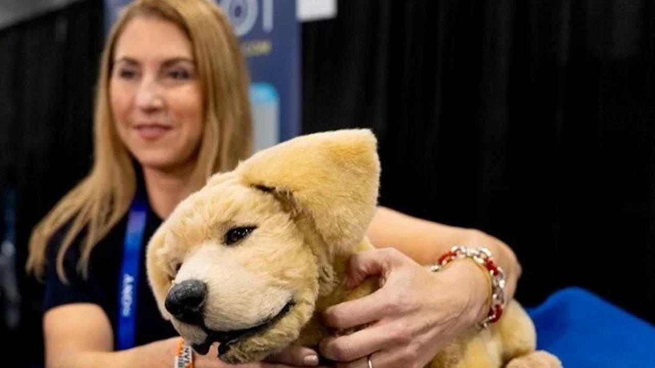 Alzheimer hastalarına yardımcı robot köpek: Bakım gerektirmez, gerçeği gibi sevimli!