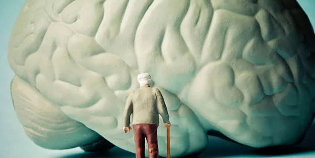 Alzheimer'i durdurmanın sırrı beyinde değil bağırsaklarda