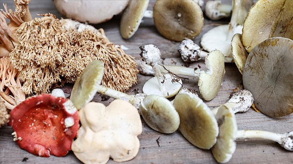 Aman dikkat! 100 kişiden 3'ü ölüyor