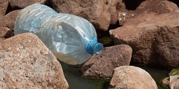 Aman dikkat! Arıtılmayan atık su tehlike saçıyor