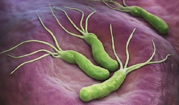 Aman dikkat edin! Dünya nüfusunun yarısı enfekte oldu