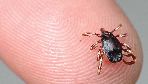 Aman dikkat havalar ısındı ortaya çıktı! Sakın bu hataları yapmayın ölümcül olabilir