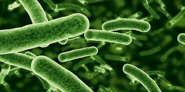 Aman dikkat! Şu an elinizdeki cihazda tuvaletten 10 kat daha çok bakteri var